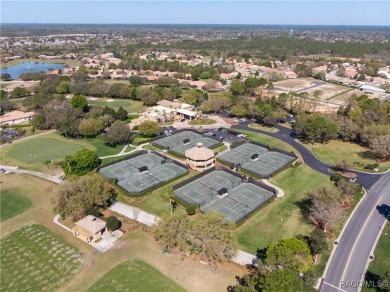 Stunning 3-Bedroom Villa in Highly Sought-After Terra Vista at on Skyview At Terra Vista Golf and Country Club in Florida - for sale on GolfHomes.com, golf home, golf lot