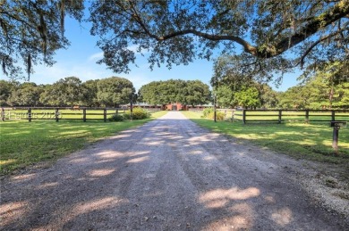A rare and exceptional opportunity to own the last available on Old Tabby Links on Spring Island in South Carolina - for sale on GolfHomes.com, golf home, golf lot