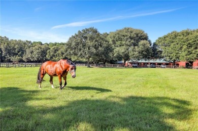 A rare and exceptional opportunity to own the last available on Old Tabby Links on Spring Island in South Carolina - for sale on GolfHomes.com, golf home, golf lot