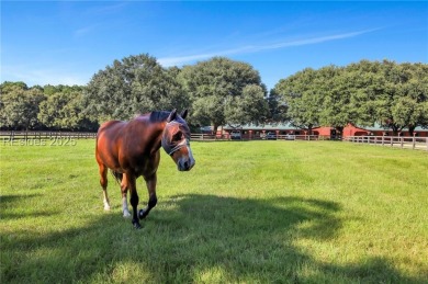 A rare and exceptional opportunity to own the last available on Old Tabby Links on Spring Island in South Carolina - for sale on GolfHomes.com, golf home, golf lot