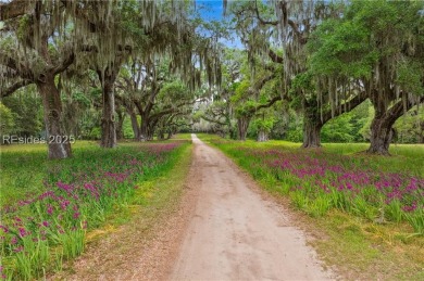 A rare and exceptional opportunity to own the last available on Old Tabby Links on Spring Island in South Carolina - for sale on GolfHomes.com, golf home, golf lot