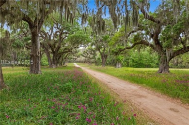 A rare and exceptional opportunity to own the last available on Old Tabby Links on Spring Island in South Carolina - for sale on GolfHomes.com, golf home, golf lot