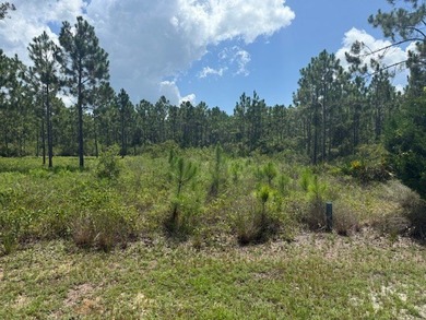 Rare and Unique opportunity to purchase a *DOUBLE LOT* in The on Saint Josephs Bay Country Club in Florida - for sale on GolfHomes.com, golf home, golf lot