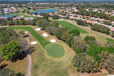 Location, Location, Location along with spectacular fountain on Skyview At Terra Vista Golf and Country Club in Florida - for sale on GolfHomes.com, golf home, golf lot