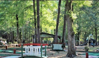 Get away from it all in this turn-key, 3 BD 2 BA chalet with on Callaway Gardens Golf Resort  in Georgia - for sale on GolfHomes.com, golf home, golf lot