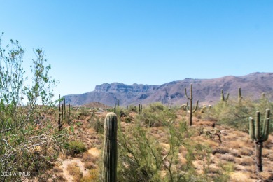 Wow! Build your Dream Home on this Large Vacant Lot on on Gold Canyon Golf Resort  in Arizona - for sale on GolfHomes.com, golf home, golf lot