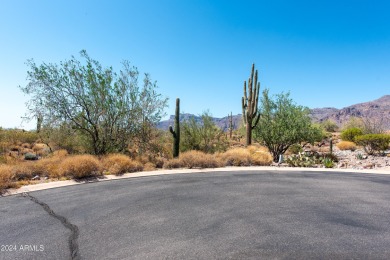 Wow! Build your Dream Home on this Large Vacant Lot on on Gold Canyon Golf Resort  in Arizona - for sale on GolfHomes.com, golf home, golf lot