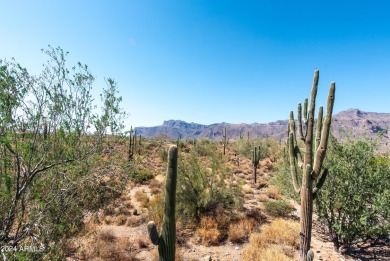 Wow! Build your Dream Home on this Large Vacant Lot on on Gold Canyon Golf Resort  in Arizona - for sale on GolfHomes.com, golf home, golf lot