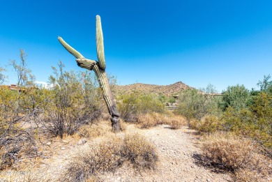 Wow! Build your Dream Home on this Large Vacant Lot on on Gold Canyon Golf Resort  in Arizona - for sale on GolfHomes.com, golf home, golf lot