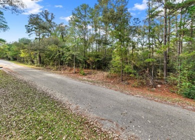 One lot on 1.813 acres are primed and ready for you to construct on Rayburn Country Club in Texas - for sale on GolfHomes.com, golf home, golf lot