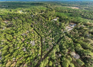 One lot on 1.813 acres are primed and ready for you to construct on Rayburn Country Club in Texas - for sale on GolfHomes.com, golf home, golf lot