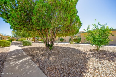 Completely updated gorgeous property. Its a MUST SEE. The Home on Sun City-Willow Creek / Willow Brook  in Arizona - for sale on GolfHomes.com, golf home, golf lot