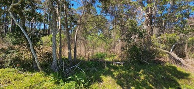 Bayview lot with 100ft of road frontage. Build your dream home on St. James Bay in Florida - for sale on GolfHomes.com, golf home, golf lot