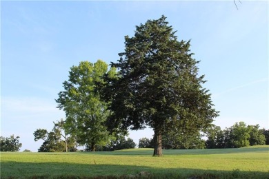 Tee Time is less than 5 minutes from your front door. This on Holiday Hills Resort and Golf in Missouri - for sale on GolfHomes.com, golf home, golf lot