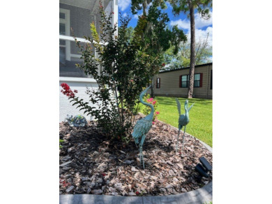 BUYER INCENTIVES: 2 months free lot rent and 6 months free WiFi on Rolling Greens Executive Golf Community in Florida - for sale on GolfHomes.com, golf home, golf lot