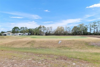 STUNNING 3-BEDROOM HOME WITH GOLF COURSE VIEWS & EXTENSIVE on Summerglen Country Club in Florida - for sale on GolfHomes.com, golf home, golf lot