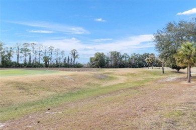 STUNNING 3-BEDROOM HOME WITH GOLF COURSE VIEWS & EXTENSIVE on Summerglen Country Club in Florida - for sale on GolfHomes.com, golf home, golf lot