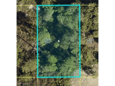 This prime quarter acre lot in the heart of Lehigh Acres offers on Copperhead Golf Club in Florida - for sale on GolfHomes.com, golf home, golf lot