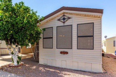 Your next home in Viewpoint Golf Resort 55 plus Community is the on Viewpoint Golf Resort in Arizona - for sale on GolfHomes.com, golf home, golf lot
