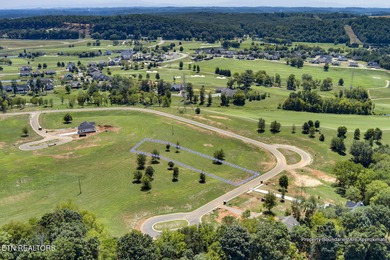 SELLER WILL ENTERTAIN OWNER FINANCING WITH ACCEPTABLE TERMS on Tennessee National Golf Club in Tennessee - for sale on GolfHomes.com, golf home, golf lot