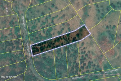 SELLER WILL ENTERTAIN OWNER FINANCING WITH ACCEPTABLE TERMS on Tennessee National Golf Club in Tennessee - for sale on GolfHomes.com, golf home, golf lot