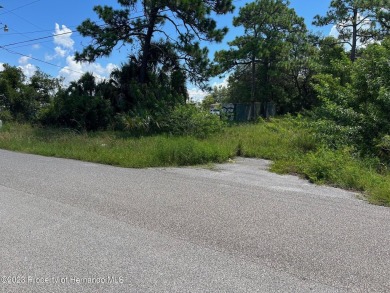 Wow! This fantastic lot boasts an array of enticing features: no on Heritage Pines Country Club in Florida - for sale on GolfHomes.com, golf home, golf lot