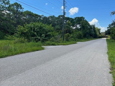 Wow! This fantastic lot boasts an array of enticing features: no on Heritage Pines Country Club in Florida - for sale on GolfHomes.com, golf home, golf lot