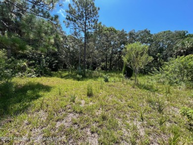 Wow! This fantastic lot boasts an array of enticing features: no on Heritage Pines Country Club in Florida - for sale on GolfHomes.com, golf home, golf lot