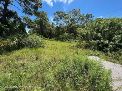 Wow! This fantastic lot boasts an array of enticing features: no on Heritage Pines Country Club in Florida - for sale on GolfHomes.com, golf home, golf lot