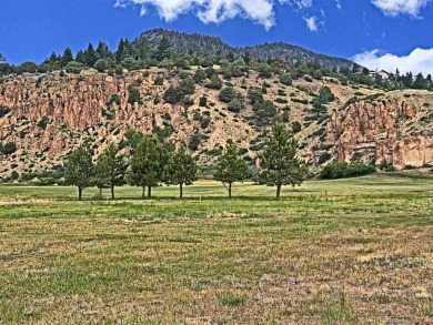 Suzy Woodward, Team Murphy Realty, C: , suzy,  : Prime Golf on Rio Grande Golf Club in Colorado - for sale on GolfHomes.com, golf home, golf lot