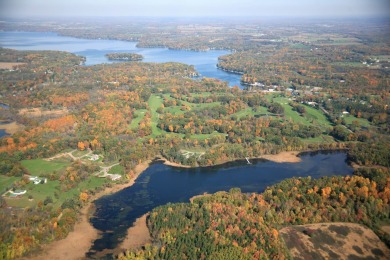 END OF YEAR BLOW OUT SALE Welcome to the beauty of Cranes Pond on Gull Lake View Golf Club and Resort in Michigan - for sale on GolfHomes.com, golf home, golf lot