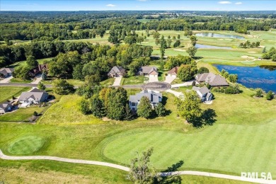 Absolutely GORGEOUS Move-In Ready 4-Bedroom Home on Coyote on Coyote Creek Golf Club in Illinois - for sale on GolfHomes.com, golf home, golf lot