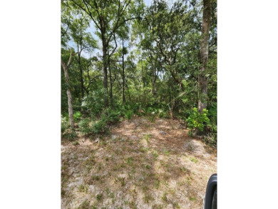 This beautiful 22 ac. tract with highway frontage off of NW on Chiefland Golf and Country Club in Florida - for sale on GolfHomes.com, golf home, golf lot