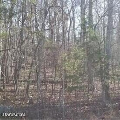 Convenient with private setting in North Fairfield Glade Resort on Heatherhurst Golf Course in Tennessee - for sale on GolfHomes.com, golf home, golf lot