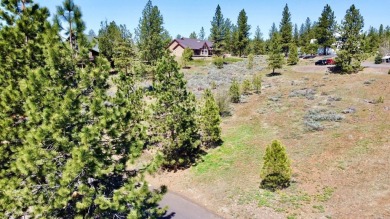 Build Your Dream Mountain Home! Discover the perfect canvas for on Meadowcreek Golf Resort in Idaho - for sale on GolfHomes.com, golf home, golf lot