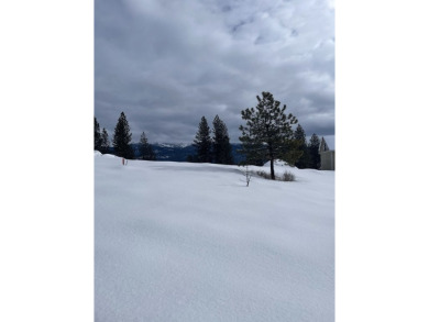 Build Your Dream Mountain Home! Discover the perfect canvas for on Meadowcreek Golf Resort in Idaho - for sale on GolfHomes.com, golf home, golf lot