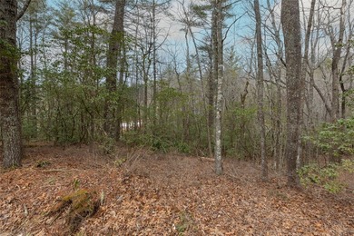 Build a dream golf course home on this affordable lot in the on Burlingame Country Club in North Carolina - for sale on GolfHomes.com, golf home, golf lot