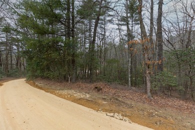 Build a dream golf course home on this affordable lot in the on Burlingame Country Club in North Carolina - for sale on GolfHomes.com, golf home, golf lot