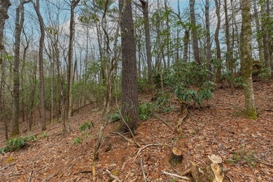 Build a dream golf course home on this affordable lot in the on Burlingame Country Club in North Carolina - for sale on GolfHomes.com, golf home, golf lot