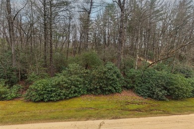 Build a dream golf course home on this affordable lot in the on Burlingame Country Club in North Carolina - for sale on GolfHomes.com, golf home, golf lot