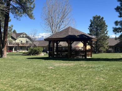 Diane Burnett, Galles Properties, C: , diane,  : This on Pagosa Springs Golf Club in Colorado - for sale on GolfHomes.com, golf home, golf lot