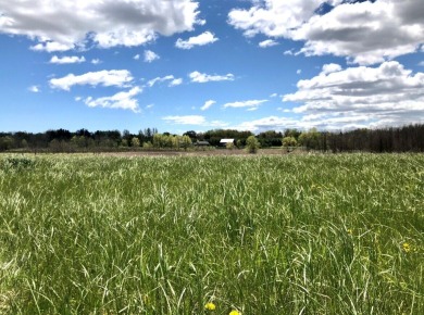 This 4 acre parcel is one of the prettiest lots in Meadow View on Hidden Glen At Bentdale Farms in Wisconsin - for sale on GolfHomes.com, golf home, golf lot