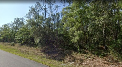 Nice building lot for single-family homes in the quickly growing on Citrus Springs Country Club in Florida - for sale on GolfHomes.com, golf home, golf lot