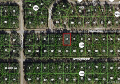 Nice building lot for single-family homes in the quickly growing on Citrus Springs Country Club in Florida - for sale on GolfHomes.com, golf home, golf lot