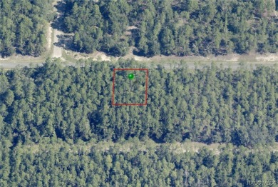 Nice building lot for single-family homes in the quickly growing on Citrus Springs Country Club in Florida - for sale on GolfHomes.com, golf home, golf lot