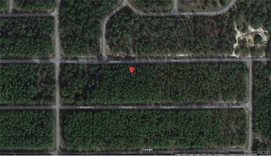 Nice building lot for single-family homes in the quickly growing on Citrus Springs Country Club in Florida - for sale on GolfHomes.com, golf home, golf lot