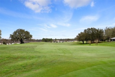 INCREDIBLE OPPORTUNITY! Welcome to Sherman Hills the best kept on Sherman Hills Golf Club in Florida - for sale on GolfHomes.com, golf home, golf lot