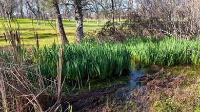 Looking for a possible seller carry? Discover your dream on The Golf Club Tierra Oaks in California - for sale on GolfHomes.com, golf home, golf lot