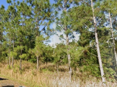 Nestled in a quiet yet rapidly growing area of Lehigh Acres on Lehigh Resort Club in Florida - for sale on GolfHomes.com, golf home, golf lot