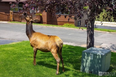 Discover your dream mountain retreat in the highly sought-after on Estes Park Golf Course in Colorado - for sale on GolfHomes.com, golf home, golf lot